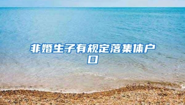 非婚生子有规定落集体户口