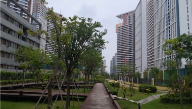 你＊＊＊不知道的2021年深圳留学落户补贴方法！