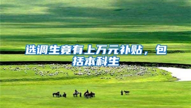 选调生竟有上万元补贴，包括本科生
