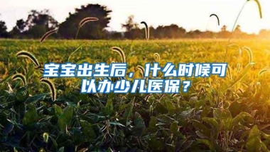 宝宝出生后，什么时候可以办少儿医保？