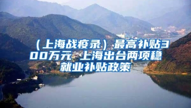 （上海战疫录）最高补贴300万元 上海出台两项稳就业补贴政策