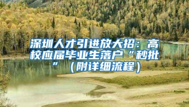 深圳人才引进放大招：高校应届毕业生落户“秒批”（附详细流程）