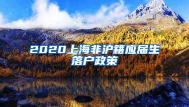 2020上海非沪籍应届生落户政策