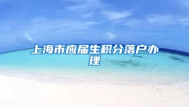 上海市应届生积分落户办理