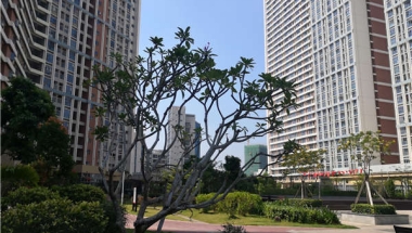 你想知道的有关2021年英国留学生回国落户深圳的所有事！