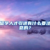 留学人才引进有什么要注意的？