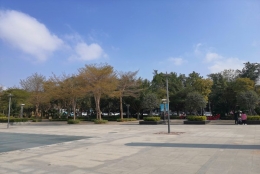 太齐全了！深圳集体户新生儿入户到哪里详细解答！建议收藏！