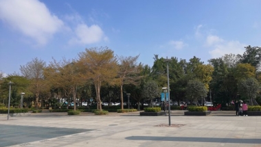 太齐全了！深圳集体户新生儿入户到哪里详细解答！建议收藏！