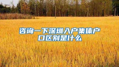 咨询一下深圳入户集体户口区别是什么