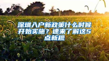 深圳入户新政策什么时候开始实施？速来了解这5点新规