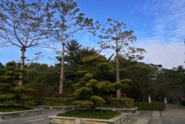 注意！这些深圳落户公司有集体户口吗信息，其实很简单