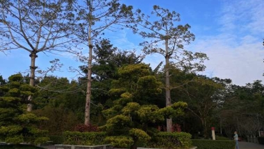 注意！这些深圳落户公司有集体户口吗信息，其实很简单