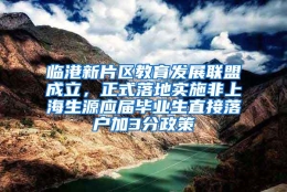 临港新片区教育发展联盟成立，正式落地实施非上海生源应届毕业生直接落户加3分政策
