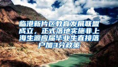 临港新片区教育发展联盟成立，正式落地实施非上海生源应届毕业生直接落户加3分政策