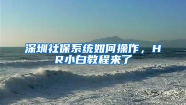 深圳社保系统如何操作，HR小白教程来了