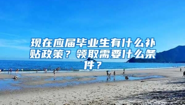 现在应届毕业生有什么补贴政策？领取需要什么条件？