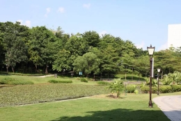 2022深圳留学生入户攻略要面临的问题