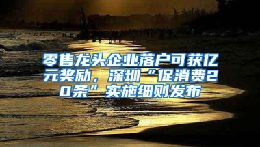 零售龙头企业落户可获亿元奖励，深圳“促消费20条”实施细则发布