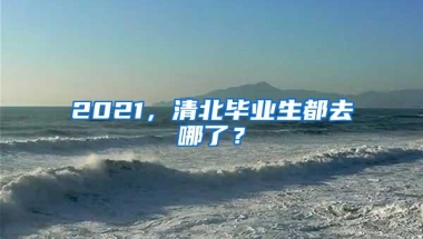 2021，清北毕业生都去哪了？