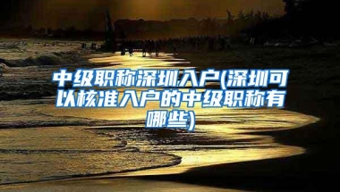 中级职称深圳入户(深圳可以核准入户的中级职称有哪些)