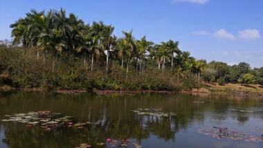 深圳办集体户口，有哪些需要重点关注的？