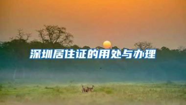 深圳居住证的用处与办理