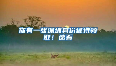 你有一张深圳身份证待领取！速看