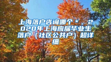 上海落户咨询哪个＊，2020年上海应届毕业生落户（社区公共户）超详细
