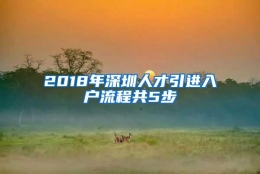 2018年深圳人才引进入户流程共5步