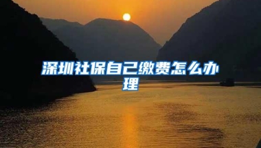 深圳社保自己缴费怎么办理
