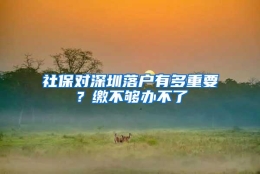 社保对深圳落户有多重要？缴不够办不了