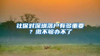 社保对深圳落户有多重要？缴不够办不了