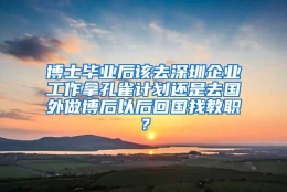 博士毕业后该去深圳企业工作拿孔雀计划还是去国外做博后以后回国找教职？