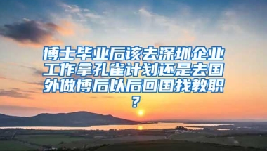 博士毕业后该去深圳企业工作拿孔雀计划还是去国外做博后以后回国找教职？