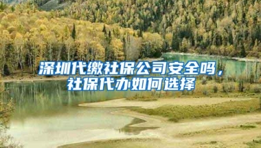 深圳代缴社保公司安全吗，社保代办如何选择