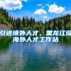 引进境外人才，黑龙江设海外人才工作站