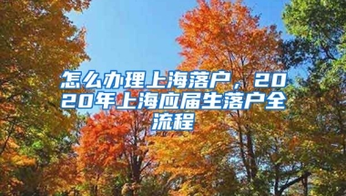 怎么办理上海落户，2020年上海应届生落户全流程