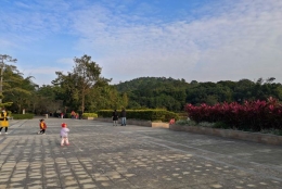 深圳研究生迁户口轻松应对的详细教程