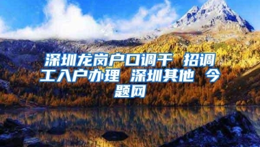 深圳龙岗户口调干 招调工入户办理 深圳其他 今题网