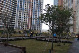 把握留学生深圳落户攻略亲戚朋友家的重点，节省你的时间