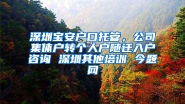 深圳宝安户口托管，公司集体户转个人户随迁入户咨询 深圳其他培训 今题网