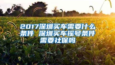 2017深圳买车需要什么条件 深圳买车摇号条件需要社保吗