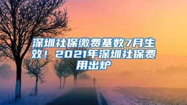 深圳社保缴费基数7月生效！2021年深圳社保费用出炉