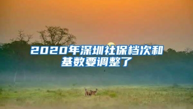 2020年深圳社保档次和基数要调整了