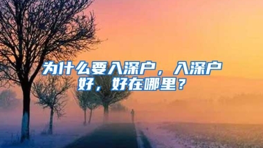 为什么要入深户，入深户好，好在哪里？