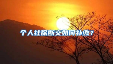 个人社保断交如何补缴？