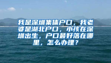 我是深圳集体户口，我老婆是湖北户口，小孩在深圳出生，户口最好落在哪里，怎么办理？