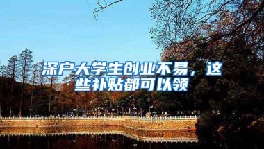 深户大学生创业不易，这些补贴都可以领