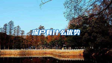 深户有什么优势