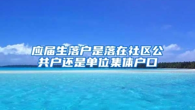 应届生落户是落在社区公共户还是单位集体户口